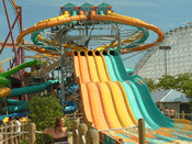 Wahoo Racer