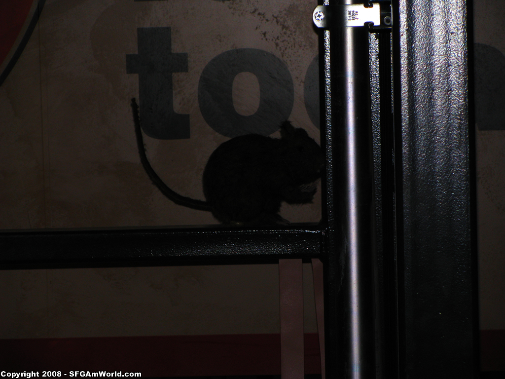 TDK_Station25