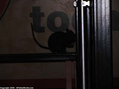 TDK_Station25