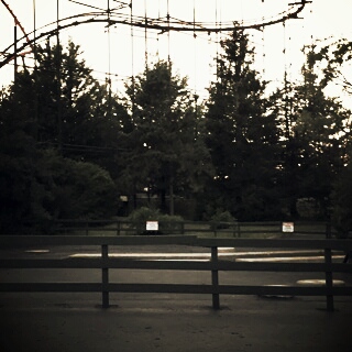 Sky Trek's old spot. Hopefully, next years addition will bring life to the spot. (Or RC's) / 2015-08-03_21.43.47.jpg 2015-08-03_21.43.47.jpg