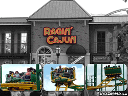 Ragin' Cajun Wallpaper